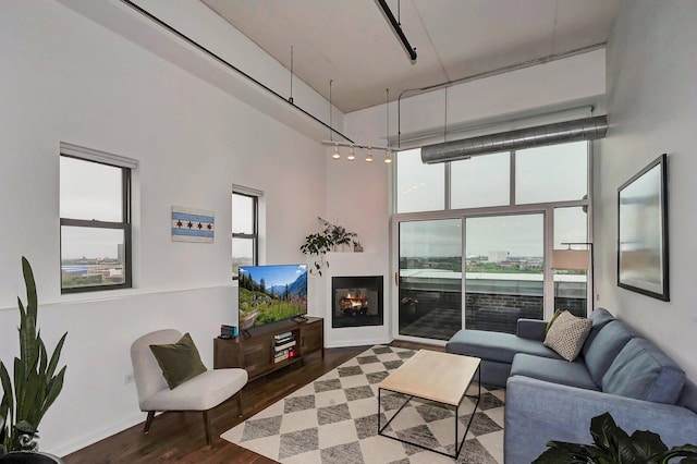1645 W Ogden Ave Unit 722, Chicago, IL 60612 - living room with a towering ceiling, dark wood-type flooring, healthy amount of natural light, track lighting, and baseboards