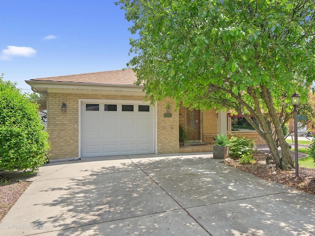 941 Meadowcrest Rd, La Grange Park, IL 60526 - obstructed view of property featuring brick siding, concrete driveway, a garage, and roof with shingles