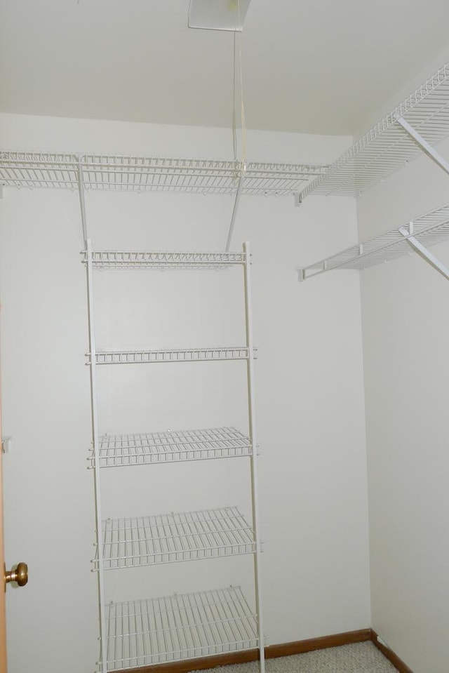 1367 N Winslowe Dr Unit 204, Palatine, IL 60074 - spacious closet featuring carpet floors