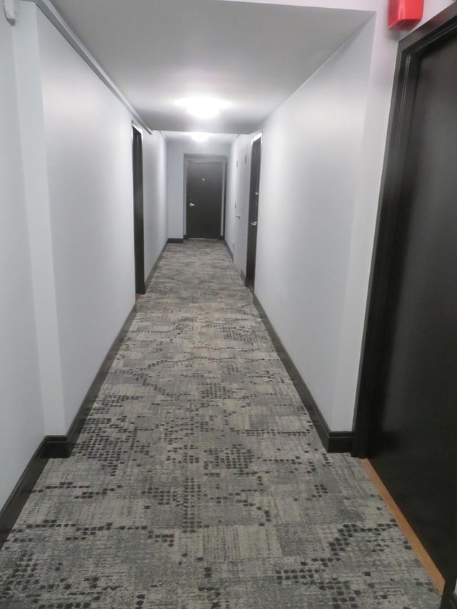 3950 N Lake Shore Dr Unit 1207B, Chicago, IL 60613 - hall featuring light colored carpet and baseboards