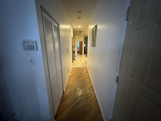 5016 S Prairie Ave Unit 1, Chicago, IL 60615 - hall featuring wood finished floors and baseboards