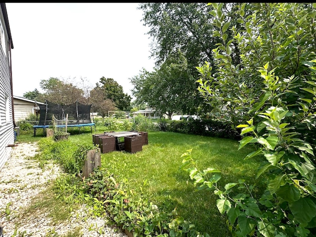 1330 Todd Farm Dr, Elgin, IL 60123 - view of grassy yard with a trampoline
