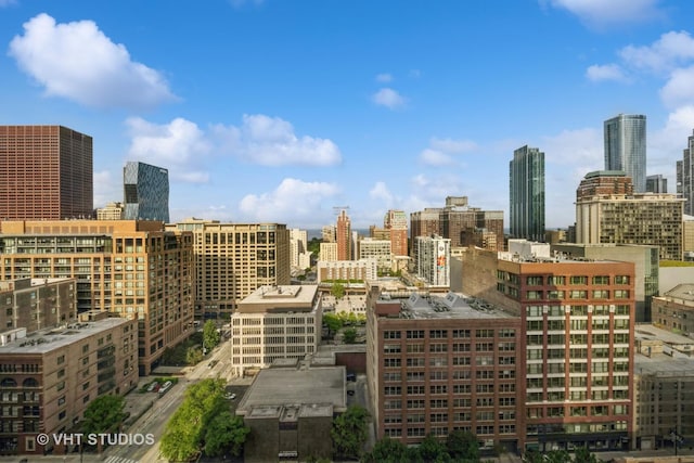 600 S Dearborn St Unit 1708, Chicago, IL 60605 - skyline view