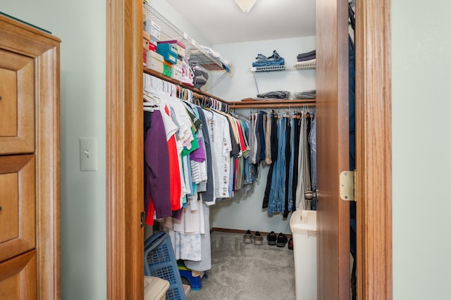 10 Primrose Ln, Sycamore, IL 60178 - spacious closet with carpet floors