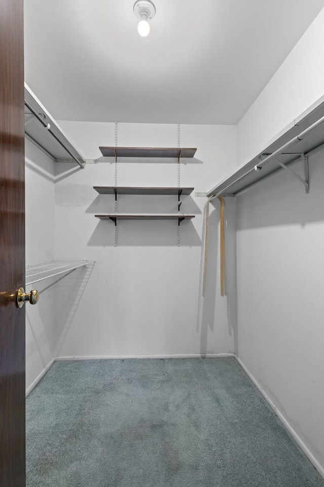 1717 W Crystal Ln Unit 310, Mount Prospect, IL 60056 - spacious closet featuring carpet flooring