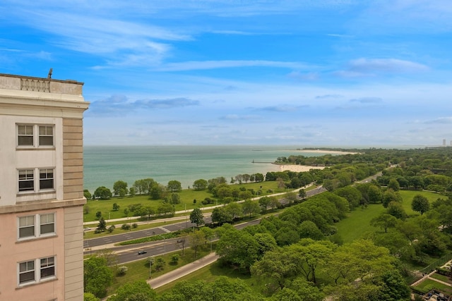 5555 N Sheridan Rd Unit 1906, Chicago, IL 60640 - water view