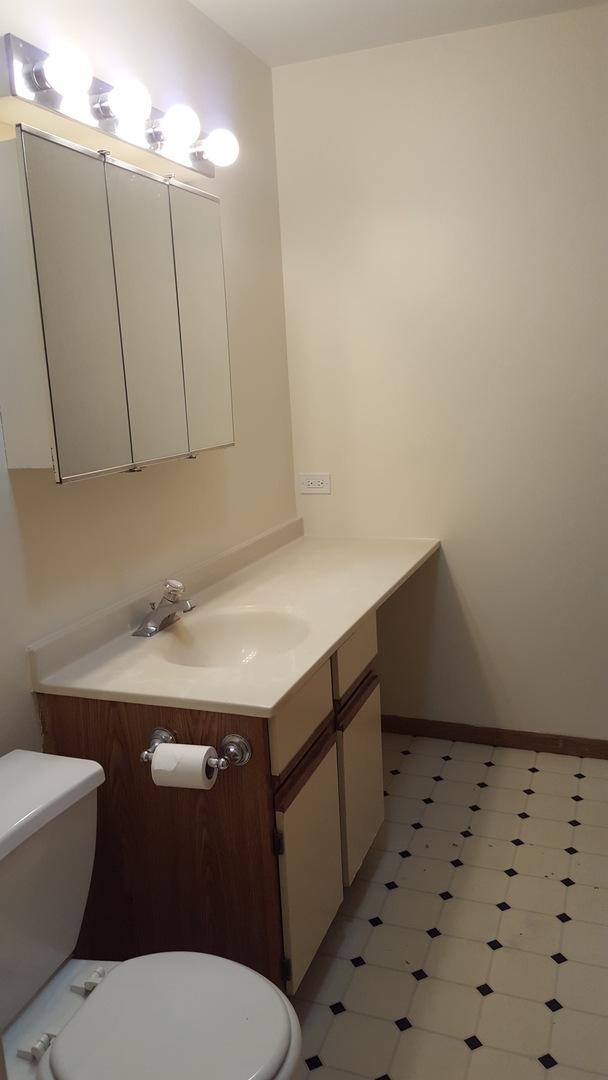 1341 Cunat Ct Unit 1C, Lake In The Hills, IL 60156 - half bathroom with vanity and toilet