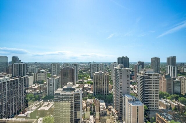1440 N Lake Shore Dr Unit 34Ac, Chicago, IL 60610 - view of city