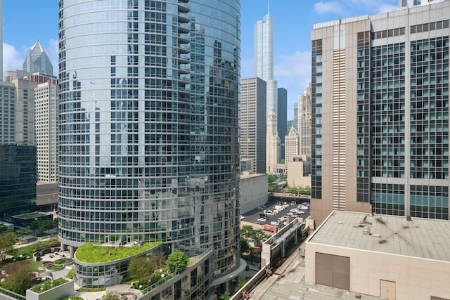512 N Mcclurg Ct Unit 1009, Chicago, IL 60611 - view of city skyline
