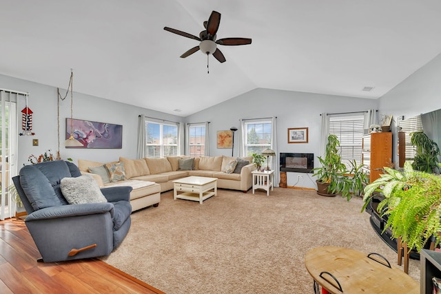 117 Andrew Taras Ct Unit B1, Joliet, IL 60435 - living room featuring lofted ceiling, ceiling fan, and wood finished floors