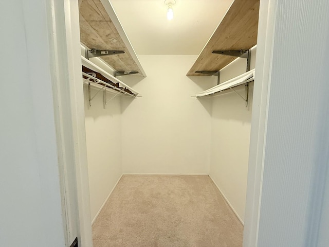 127 Wolcott Ct Unit 2, Schaumburg, IL 60193 - spacious closet with carpet