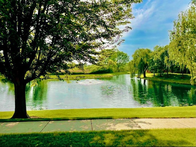 34165 N Goldenrod Rd, Round Lake, IL 60073 - view of community featuring a water view