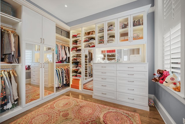 201 Reber St Unit 6, Wheaton, IL 60187 - view of walk in closet