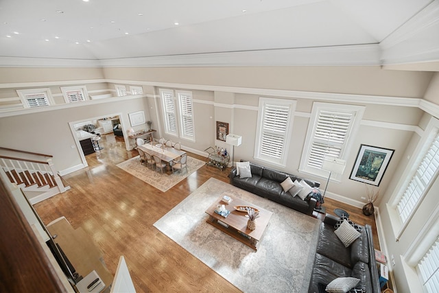 201 Reber St Unit 6, Wheaton, IL 60187 - living room featuring wood finished floors, high vaulted ceiling, and crown molding