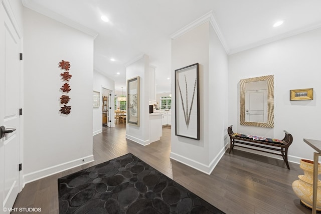 50 W Kennedy Ln Unit 102, Hinsdale, IL 60521 - foyer featuring dark wood finished floors, crown molding, baseboards, and recessed lighting