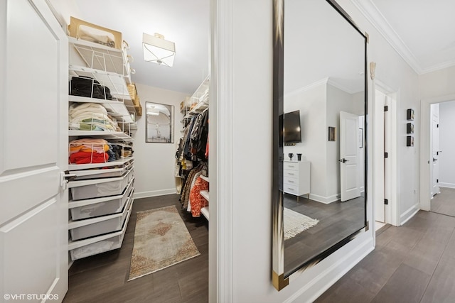 50 W Kennedy Ln Unit 102, Hinsdale, IL 60521 - spacious closet with dark wood-style floors
