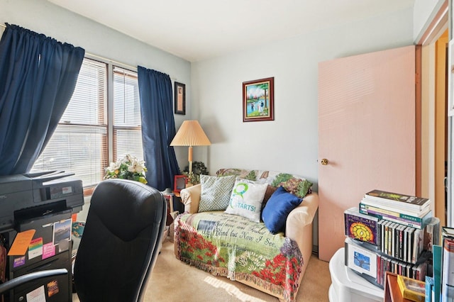 12755 S Kenneth Ave Unit E, Alsip, IL 60803 - home office featuring carpet