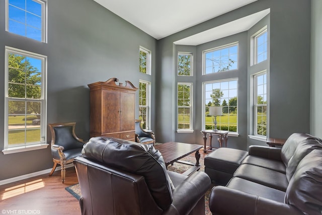 2621 Hastings Ct, Gurnee, IL 60031 - living area featuring a high ceiling, wood finished floors, and baseboards
