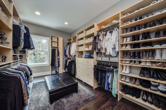1308 N Wright St, Naperville, IL 60563 - spacious closet featuring dark wood-style floors