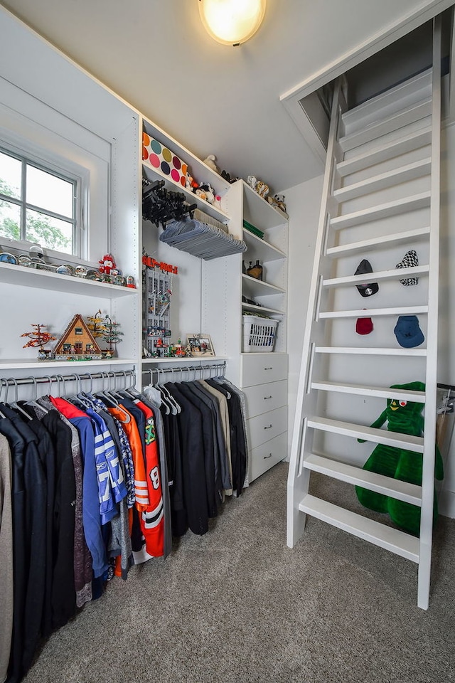1308 N Wright St, Naperville, IL 60563 - walk in closet featuring carpet flooring