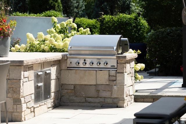 1308 N Wright St, Naperville, IL 60563 - view of patio with area for grilling and view of scattered trees