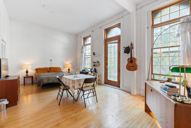 1239 N Dearborn St, Chicago, IL 60610 - photo 7