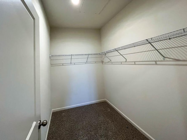 1097 Savannah Ln, Pingree Grove, IL 60140 - walk in closet with dark carpet and attic access