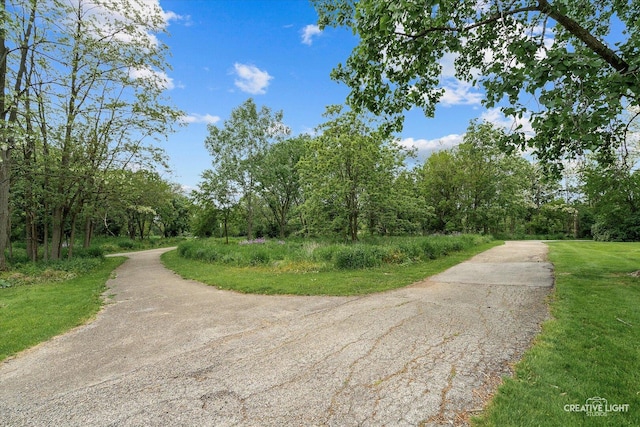 view of road