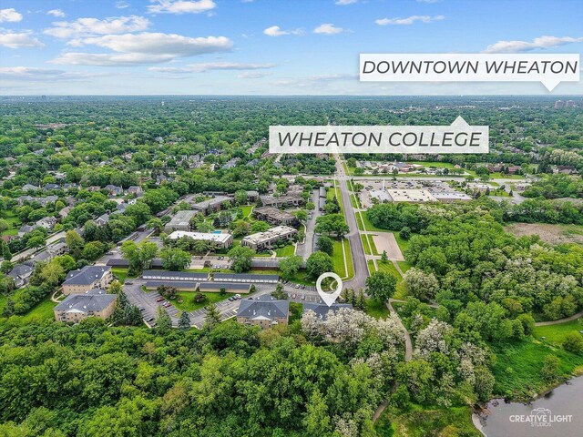drone / aerial view of a heavily wooded area