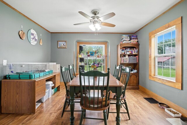 884 E 1200n Rd, Melvin, IL 60952 - photo 11