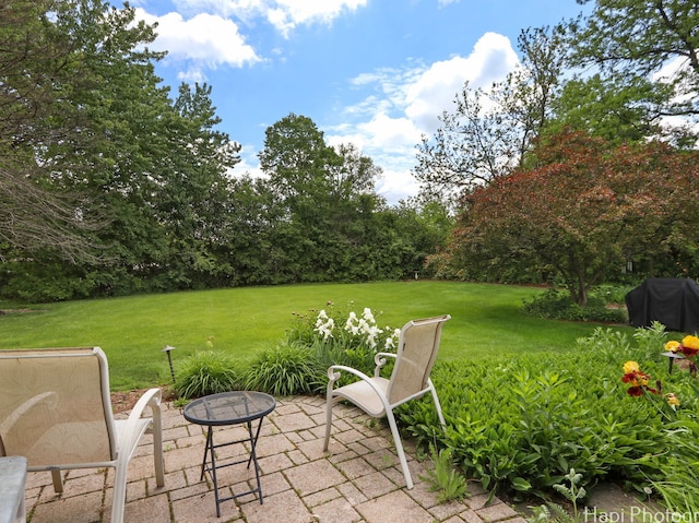 275 Surrey Ln, Barrington, IL 60010 - view of grassy yard featuring a patio and a fire pit