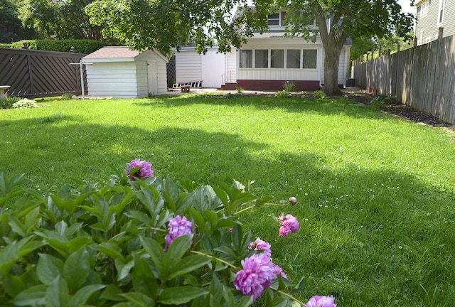 610 E Main St, Ottawa, IL 61350 - view of yard