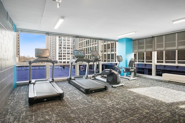 330 W Diversey Pkwy Unit 1209, Chicago, IL 60657 - workout area featuring expansive windows