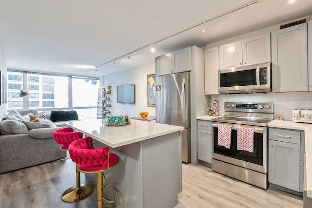 330 W Diversey Pkwy Unit 1209, Chicago, IL 60657 - kitchen featuring stainless steel appliances, gray cabinets, rail lighting, light wood-style floors, and light countertops