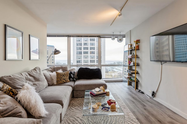 330 W Diversey Pkwy Unit 1209, Chicago, IL 60657 - living room featuring wood finished floors, plenty of natural light, baseboards, rail lighting, and a wall of windows