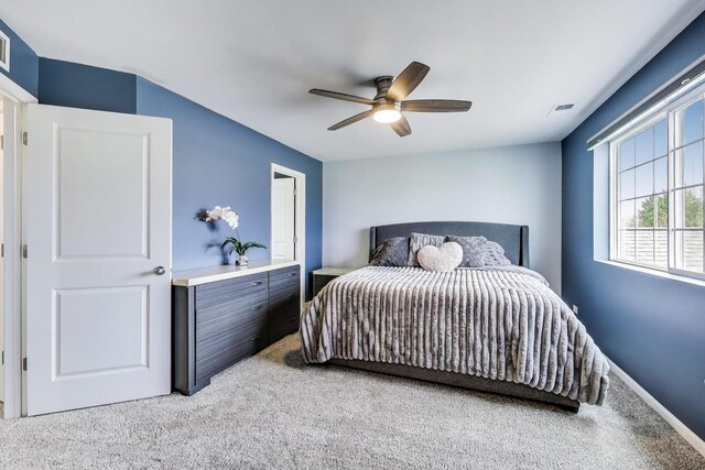 1129 Amber Dr, Cary, IL 60013 - photo 16