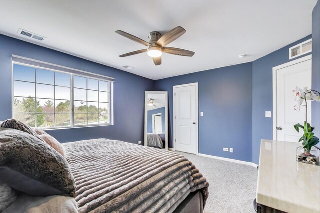 1129 Amber Dr, Cary, IL 60013 - photo 17