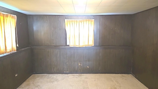 17710 Hillcrest Dr, Country Club Hills, IL 60478 - empty room featuring wood walls