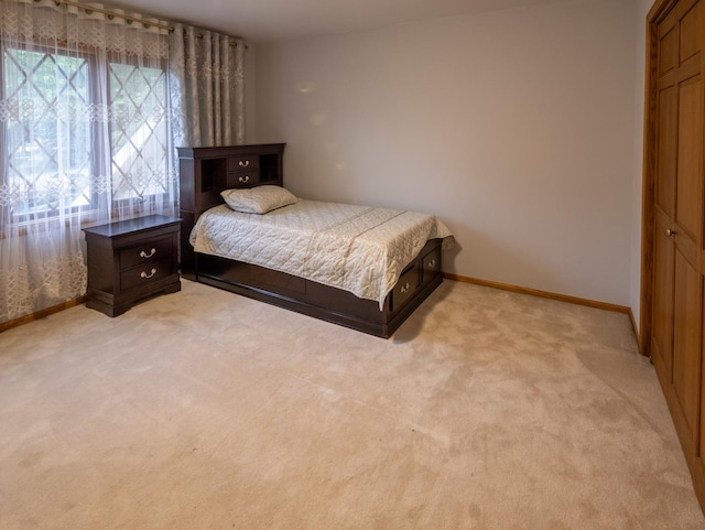 1707 Frediani Ct, Mount Prospect, IL 60056 - bedroom with baseboards and light colored carpet