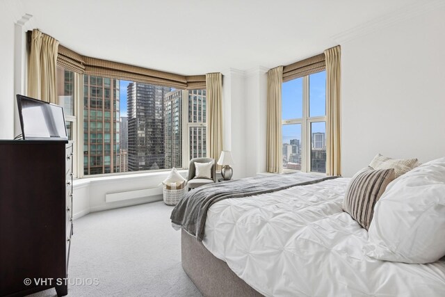 25 E Superior St Unit 3004, Chicago, IL 60611 - photo 23