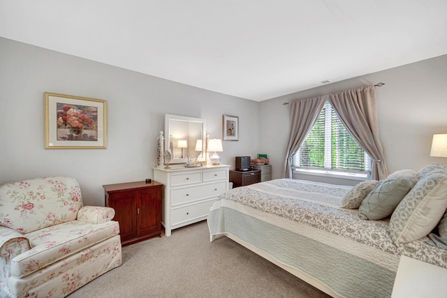 986 W Ct Unit C, Naperville, IL 60563 - bedroom with carpet flooring