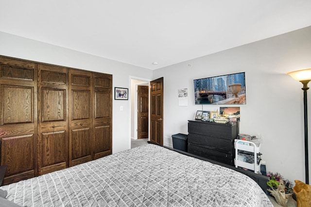 986 W Ct Unit C, Naperville, IL 60563 - view of carpeted bedroom