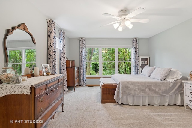 2124 Wicklow Rd, Naperville, IL 60564 - photo 13
