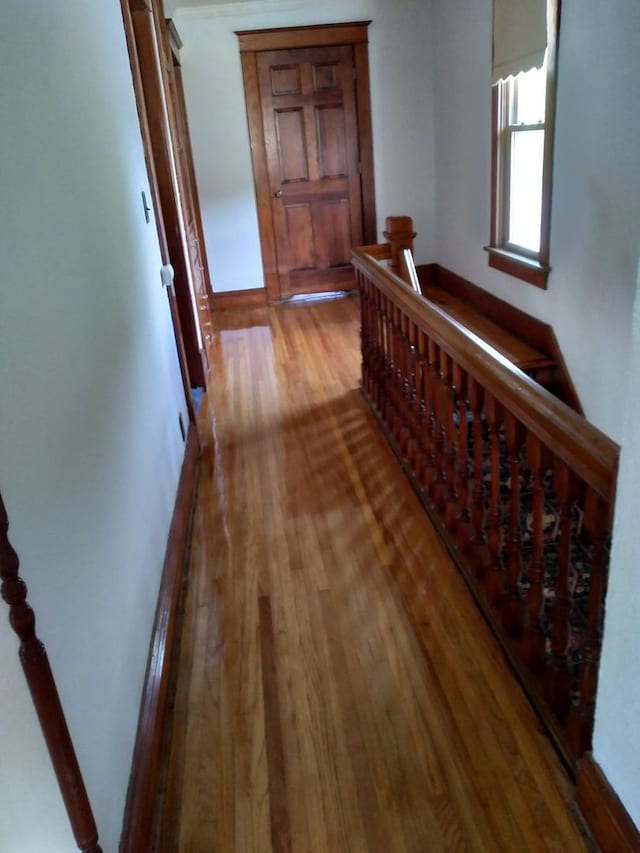 236 S Randolph St, Princeton, IL 61356