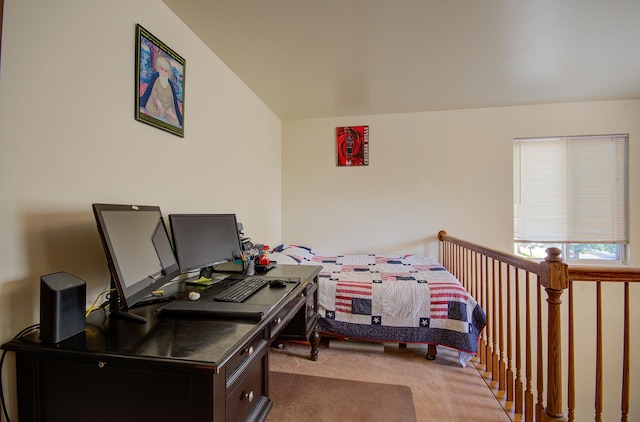 14005 Danbury Dr, Plainfield, IL 60544 - bedroom with carpet floors