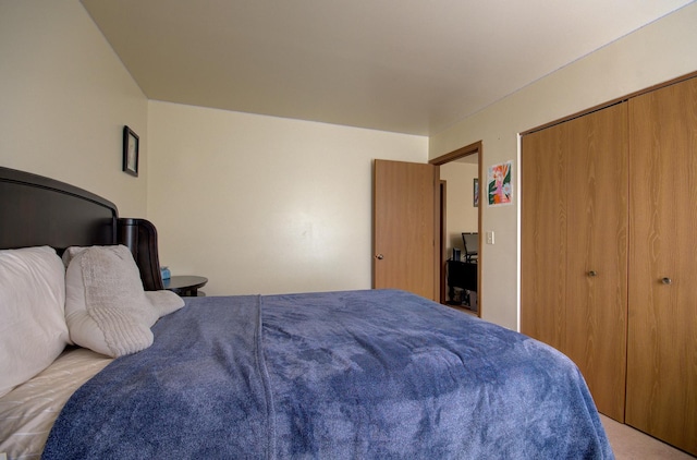 14005 Danbury Dr, Plainfield, IL 60544 - bedroom featuring light colored carpet and a closet