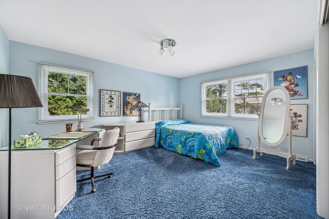 2620 Marian Ln, Wilmette, IL 60091 - bedroom featuring carpet flooring and an office area