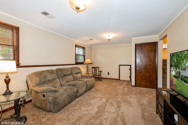 408 S Cedar Rd, New Lenox, IL 60451 - living area with carpet and ornamental molding