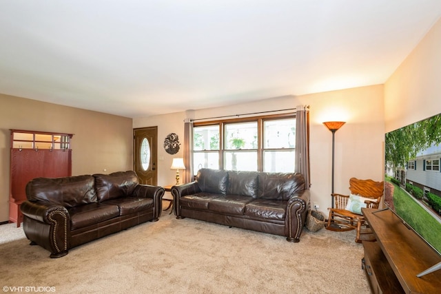408 S Cedar Rd, New Lenox, IL 60451 - living area with carpet flooring