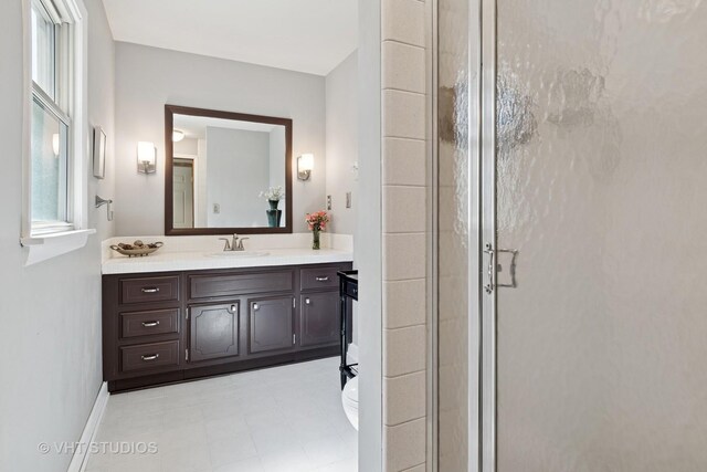 735 Rolling Dr, Lisle, IL 60532 - bathroom with vanity and a stall shower